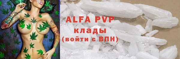 круглые Вяземский