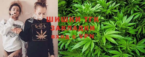гашик Вязьма