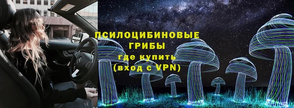 прущая мука Вязники