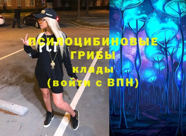 круглые Вяземский