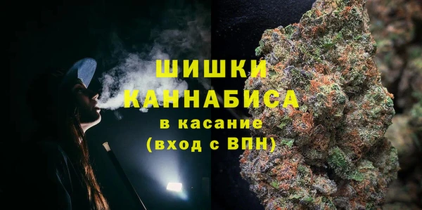 гашик Вязьма