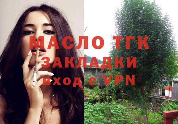 гашик Вязьма