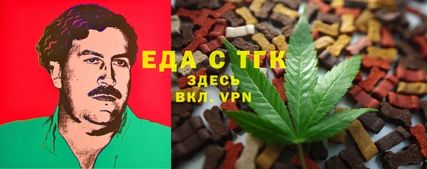 гашик Вязьма