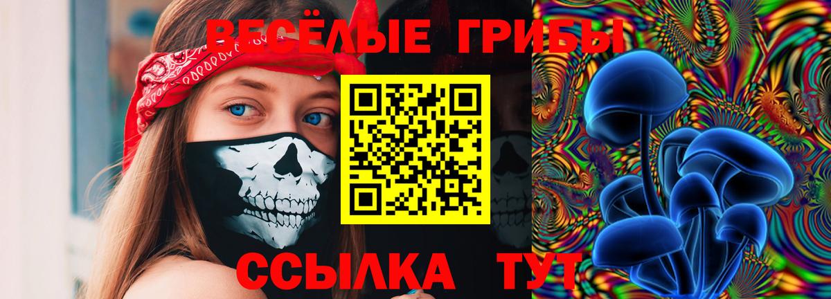Галлюциногенные грибы GOLDEN TEACHER  Вход с VPN  Ноябрьск 