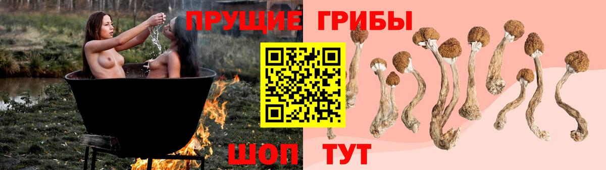 Псилоцибиновые грибы Psilocybine cubensis Ноябрьск